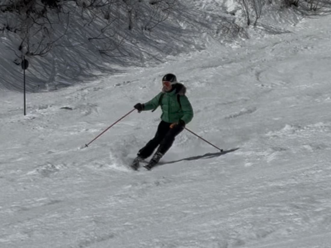 Kurze Schw&uuml;nge im weichen Schnee